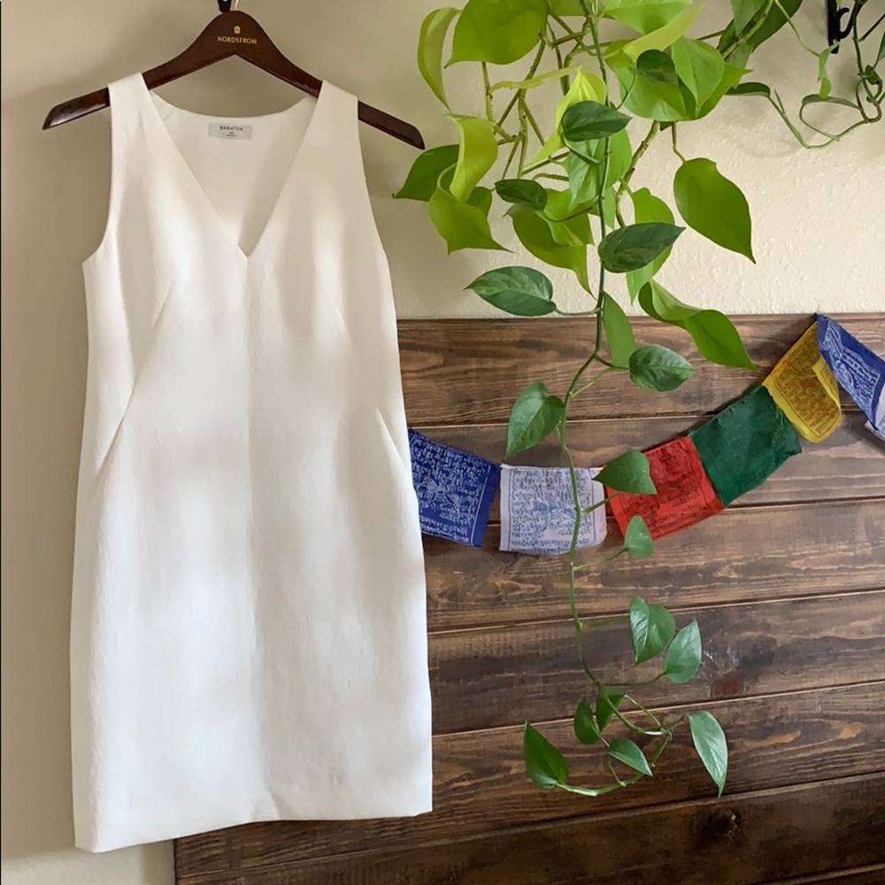 Aritzia (Babaton) dress